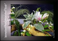 www.floristic.ru - .  