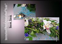 www.floristic.ru - .  