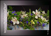 www.floristic.ru - .  