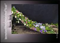 www.floristic.ru - .  