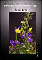 www.floristic.ru - .  