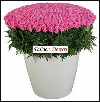 www.floristic.ru - . !!!!!