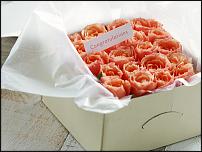 www.floristic.ru - . !!!!!