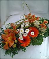 www.floristic.ru - .    !!!