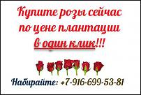 www.floristic.ru - .       .