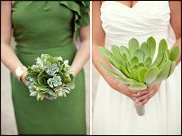 www.floristic.ru - . ́ (Succulentus)