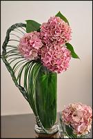 www.floristic.ru - .      