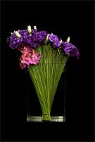 www.floristic.ru - .      