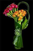 www.floristic.ru - .      