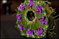 www.floristic.ru - .      