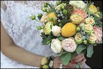 www.floristic.ru - .  .