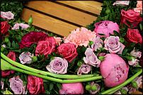 www.floristic.ru - .  ....   .