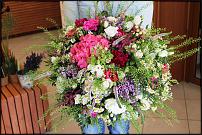 www.floristic.ru - .       ...