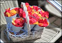 www.floristic.ru - .  .