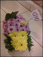 www.floristic.ru - .   ....