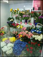 www.floristic.ru - .       - ?