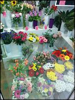 www.floristic.ru - .       - ?