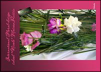 www.floristic.ru - .  