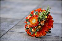 www.floristic.ru - .   .