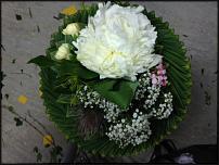 www.floristic.ru - .      