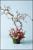 www.floristic.ru - .  