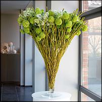 www.floristic.ru - .  