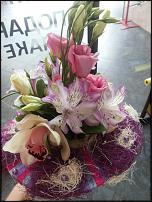 www.floristic.ru - .  