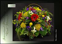 www.floristic.ru - .  