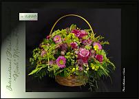 www.floristic.ru - .  