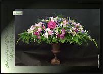 www.floristic.ru - .  