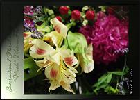 www.floristic.ru - .  