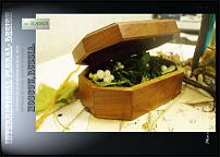 www.floristic.ru - .  