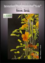 www.floristic.ru - .  