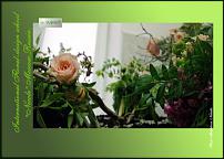 www.floristic.ru - .  