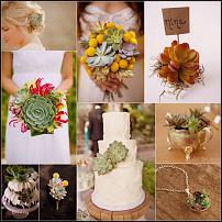 www.floristic.ru - . ́ (Succulentus)