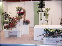 www.floristic.ru - . Euroscills.  .