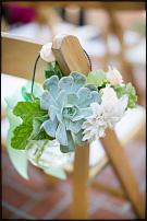 www.floristic.ru - . ́ (Succulentus)