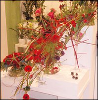 www.floristic.ru - . Euroscills.  .