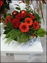 www.floristic.ru - . Euroscills.  .