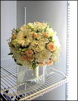 www.floristic.ru - .       1    