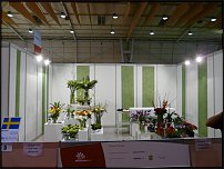 www.floristic.ru - . Euroscills.  .