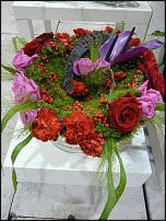 www.floristic.ru - . Euroscills.  .