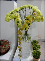 www.floristic.ru - . Euroscills.  .