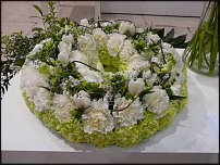 www.floristic.ru - . Euroscills.  .