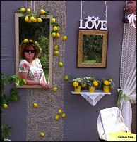 www.floristic.ru - .  .
