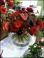 www.floristic.ru - . Euroscills.  .