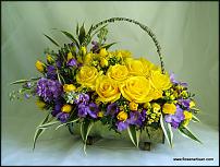 www.floristic.ru - . ,  .
