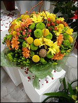 www.floristic.ru - . Euroscills.  .