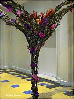 www.floristic.ru - . Stef Adriaenssens