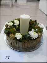 www.floristic.ru - . Euroscills.  .